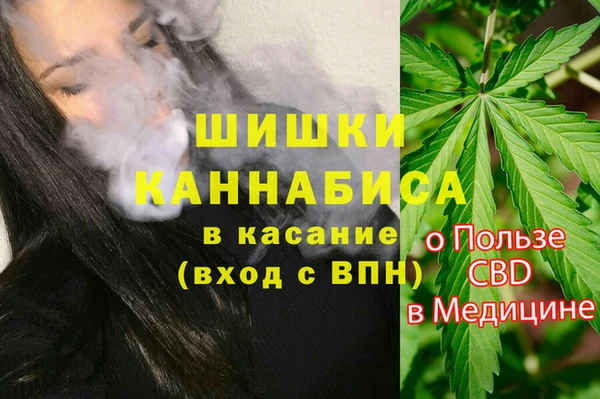 сатива Балабаново